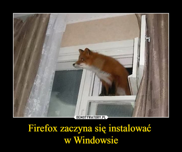 Firefox zaczyna się instalować w Windowsie –  