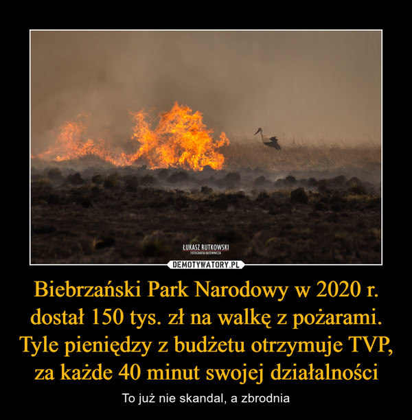 Biebrzański Park Narodowy w 2020 r. dostał 150 tys. zł na walkę z pożarami. Tyle pieniędzy z budżetu otrzymuje TVP, za każde 40 minut swojej działalności – To już nie skandal, a zbrodnia 
